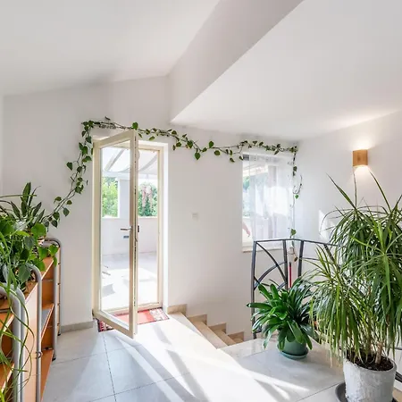 Apartment Picaferaj